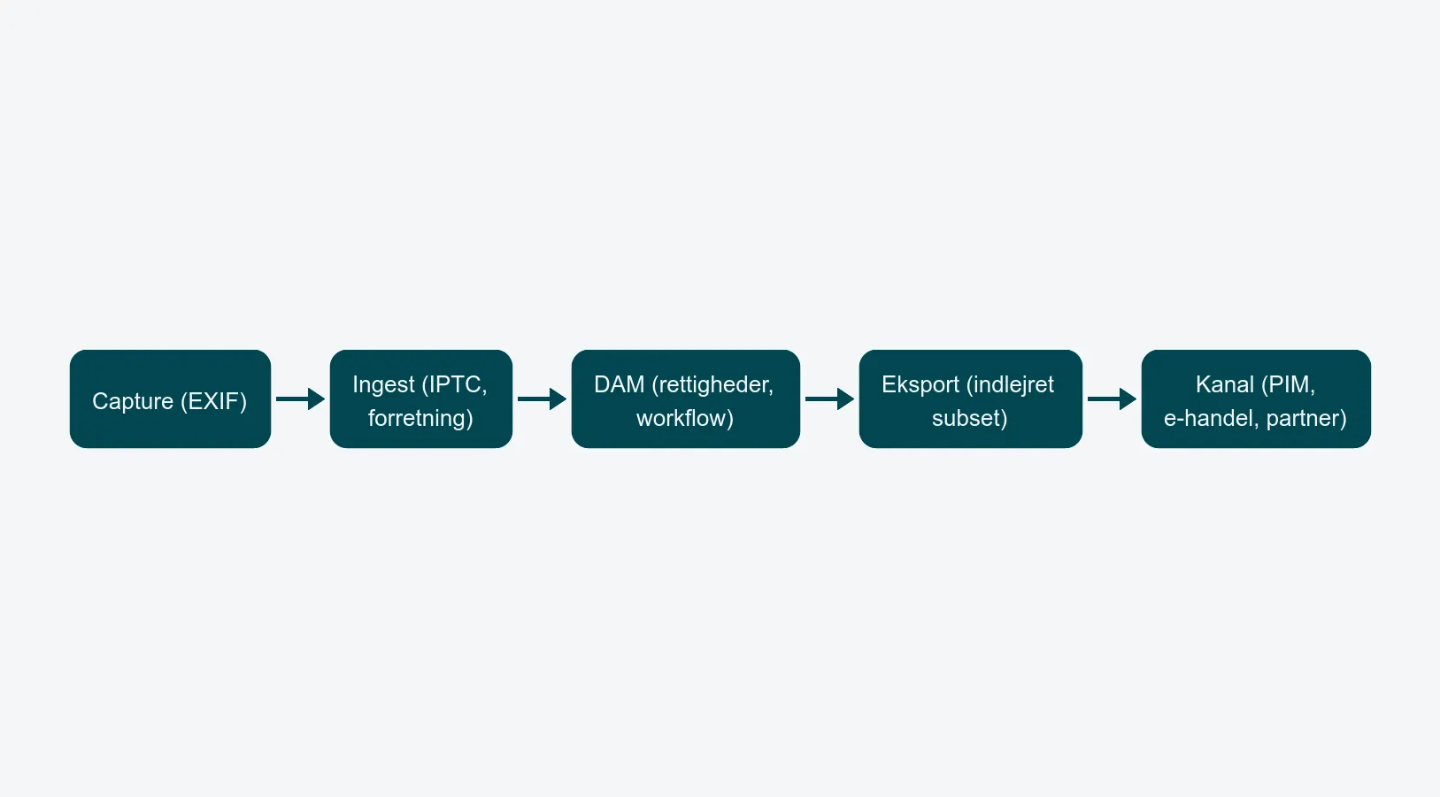 Pipeline der viser, hvor metadata bliver lagt på undervejs: capture, ingest, DAM, eksport og kanallevering
