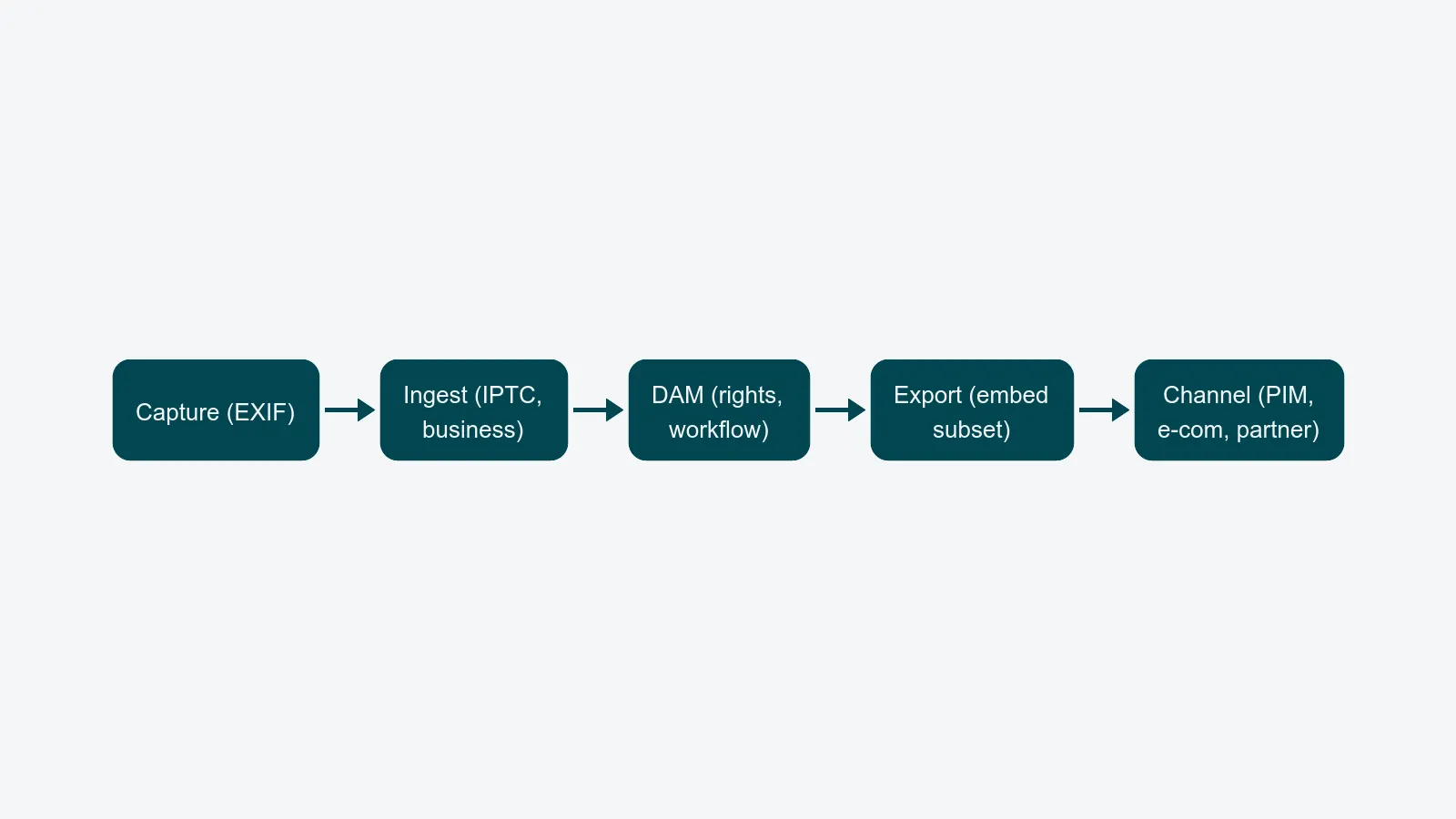 Pipeline showing where metadata is attached at each stage: capture, ingest, DAM, export, and channel delivery