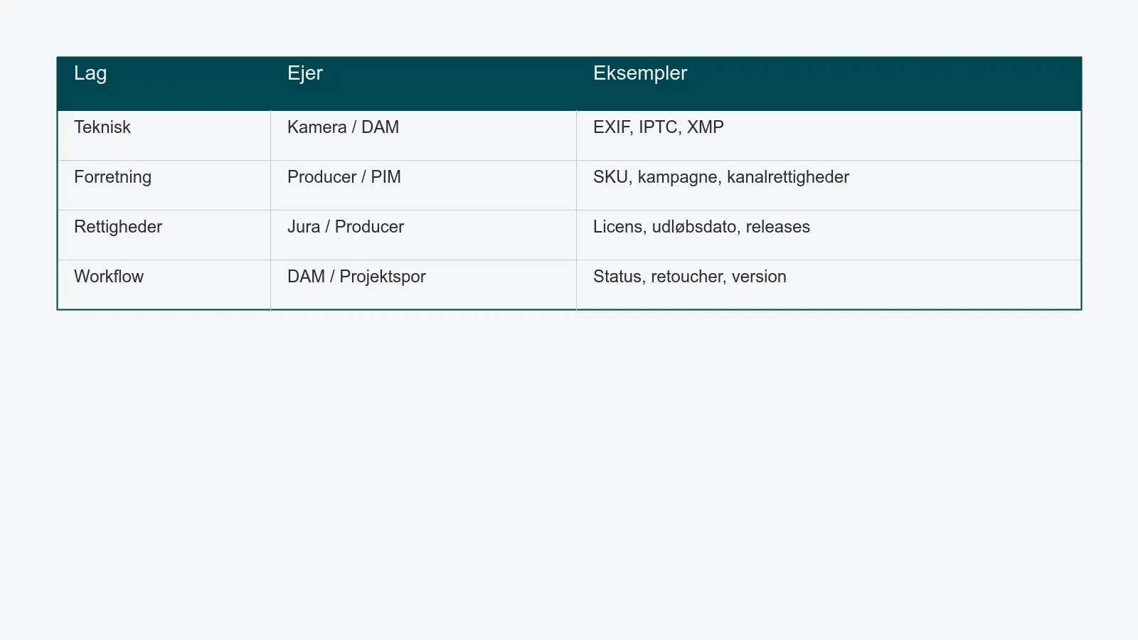 Fire lag af metadata på et produktbillede: teknisk, forretning, rettigheder, workflow - med ejere og eksempler på felter